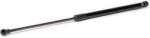 DREISSNER Amortizor portbagaj DREISSNER 21R-6389DREIS (21R-6389DREIS)