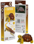 dodoland EUGY Szárazföldi teknős 3D puzzle (XEG-104)