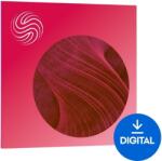 iZotope Velvet (Digitális termék)