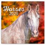 REALSYSTEM 2026 Horses 6097-HO falinaptár (6097-HO) - pcx