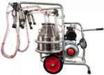 Emt Aparat de muls vaci cu 2 posturi EMT 2+2 cu 2 bidoane INOX 30 litri (EMT2+2S30) - motosape-motocoase