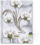 VECTRALINE Mystic White princess B/6 napi fehér lapos határidőnapló - 2026