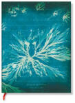 Paperblanks FLEXIS notesz MIDI FB1367-0 vonalas Sea Flowers, Anna Atkins’ Cyanotypes