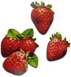  Nyomtatott dekorkarton - Eper szett 3db/csomag - csinaldmagadshop