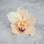 Corolla Exp-Imp. Kft Orchidea fej 4db/csomag barack