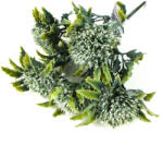  Sedum csokor fehér 2db/csomag - csinaldmagadshop
