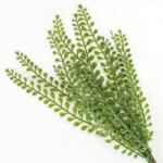 Corolla Exp-Imp. Kft 12 ágú levél pick zöld