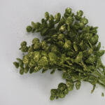  Csillámos eukaliptusz csokor zöld - csinaldmagadshop