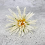  Kínai krizantém fej - krém - csinaldmagadshop