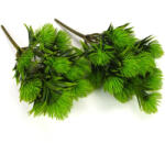  Protea csokor világoszöld 2db/csomag - csinaldmagadshop