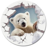 Corolla Exp-Imp. Kft Nyomtatott fa tábla koszorú közép - Kíváncsi jegesmedve 11, 8