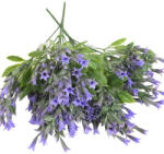 Corolla Exp-Imp. Kft Trombitavirág csokor lila 2db/csomag