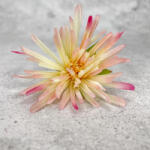  Kínai krizantém fej - cirmos rózsaszín - csinaldmagadshop