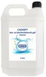 Caola Kéz- és bőrfertőtlenítő gél 5 liter Caosept - suplix