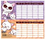 Nebulo Órarend egylapos Cicás, 25 db/csomag, Nebulo