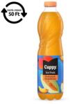 Cappy Üdítőital szénsavmentes CAPPY Ice Fruit Őszibarack-Sárgadinnye 12%-os 1, 5L DRS (1022607) - robbitairodaszer
