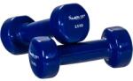 MOVIT Set de gantere din vinil MOVIT 2 x 2, 5 kg albastru (20040360)