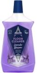 Astonish Detergent pentru Pardoseli - Flori de Lavanda 1 l, Astonish Specialist (ELC-ASP-C6110-FLR-LAV)