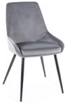 SIGNAL MEBLE Cobe Velvet Bársony Étkezőszék Szürke Fekete Fémlábakkal