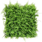 Mirpol Vadpáfrány műanyag zöldfal 50x50 cm (5902659145192) - leziter