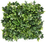 Mirpol Arália műanyag zöldfal 50x50 cm (5902659145215) - leziter