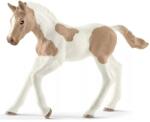 Schleich Schleich: Figurina mânz cal Paint (13886) (SLH13886) Figurina
