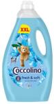 Coccolino Oblitokoncetratum 3. L Blue Splash
