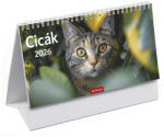 TOPTIMER Asztali naptár képes TOPTIMER T058 álló fehér lapos Cicák 2026 (T585P-00P) - papir-bolt