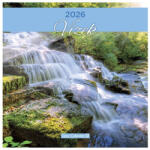 LIZZY CARD Falinaptár LIZZY CARD 300x600mm álló Vizek 2026 (21676) - papir-bolt