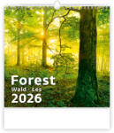 Dayliner Forest, képes falinaptár 2026