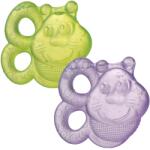Playgro Beissring Biene 40200 Set 2 Bucati Multicolor Umplut cu Apa (0182213)