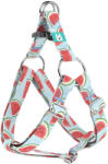 april & june Dinnye - Belelépős Kutyahám - Watermelon - april & june (anj-sih-248-XXS-15-P)