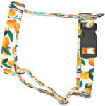 april & june Mangó - Kutyahám és Macskahám - Mango - april & june (anj-h-224-XS-15-P)