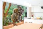 DIMEX ART Самозалепваща се флизелинова фототапета коала с малко 375 x 250 см