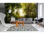 DIMEX ART Флизелинов фототапет горска пътека 375 x 250 см