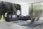DIMEX ART Самозалепваща се флизелинова фототапета слонове с бебе 375 x 250 см