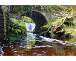DIMEX ART Самозалепваща се флизелинова фототапета ирландия 375 x 250 см