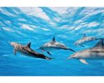 DIMEX ART Самозалепваща се флизелинова фототапета делфини 375 x 250 см