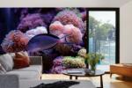 DIMEX ART Самозалепваща се флизелинова фототапета риби с корали 375 x 250 см