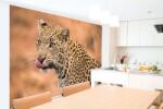 DIMEX ART Самозалепваща се флизелинова фототапета женски леопард 375 x 250 см