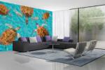 DIMEX ART Самозалепваща се флизелинова фототапета група костенурки 375 x 250 см