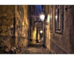 DIMEX ART Самозалепваща се флизелинова фототапета алея 375 x 250 см