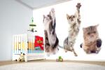 DIMEX ART Самозалепваща се флизелинова фототапета котки на училище 375 x 250 см