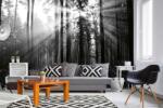 DIMEX ART Самозалепваща се флизелинова фототапета черно-бяла гора 375 x 250 см