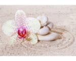 DIMEX ART Флизелинов фототапет релаксиращ пясък 375 x 250 см