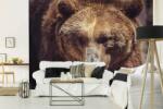 DIMEX ART Самозалепваща се флизелинова фототапета кантабрийска кафява мечка 375 x 250 см