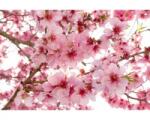 DIMEX ART Самозалепваща се флизелинова фототапета ябълкови цветове 375 x 250 см