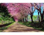 DIMEX ART Самозалепваща се флизелинова фототапета цъфтяща алея 375 x 250 см