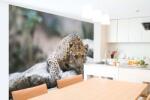 DIMEX ART Самозалепваща се флизелинова фототапета леопард на скала 375 x 250 см