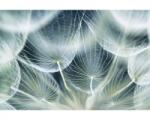 DIMEX ART Самозалепваща се флизелинова фототапета детайли от глухарче 375 x 250 см